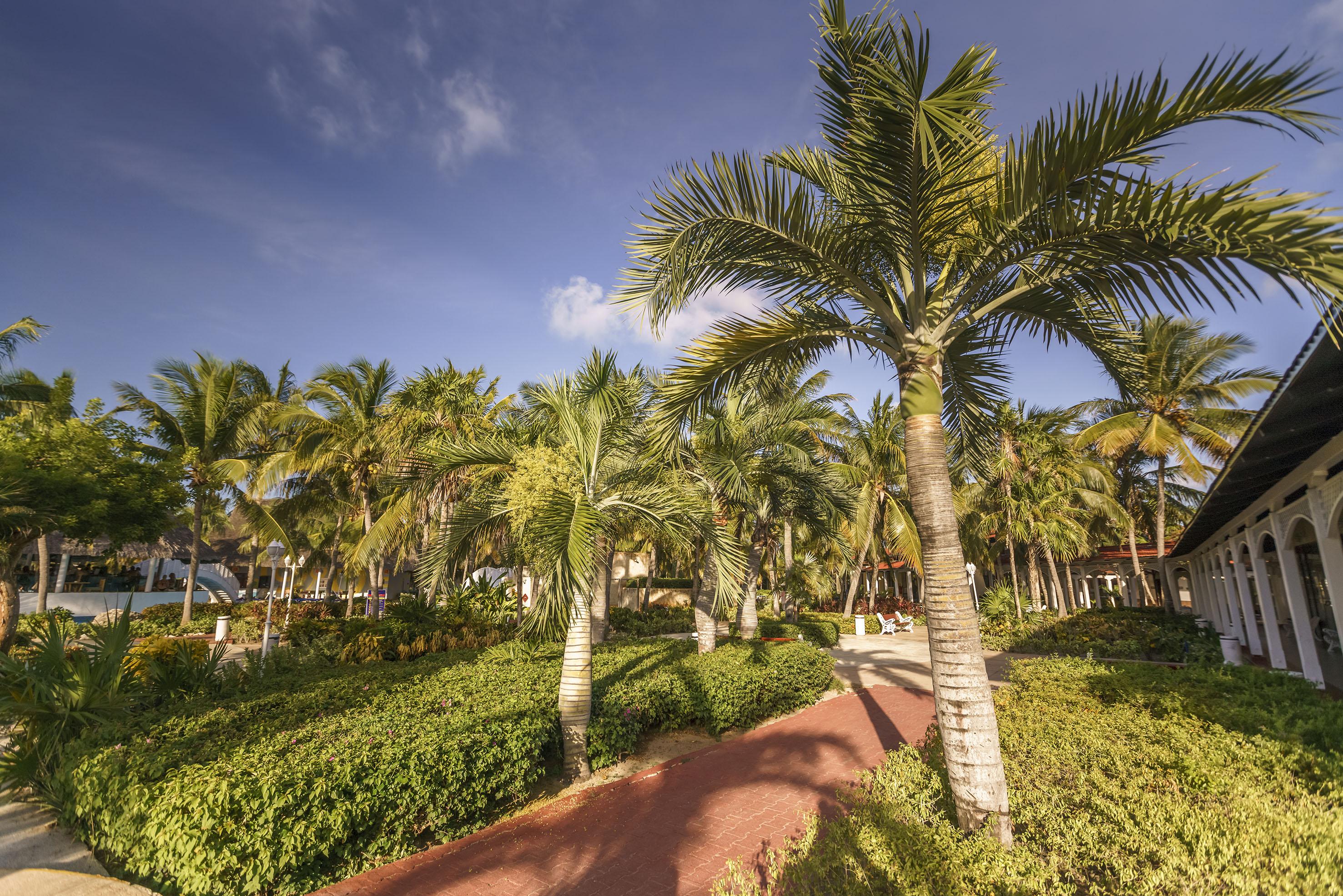 Hotel Sol Cayo Santa María Extérieur photo