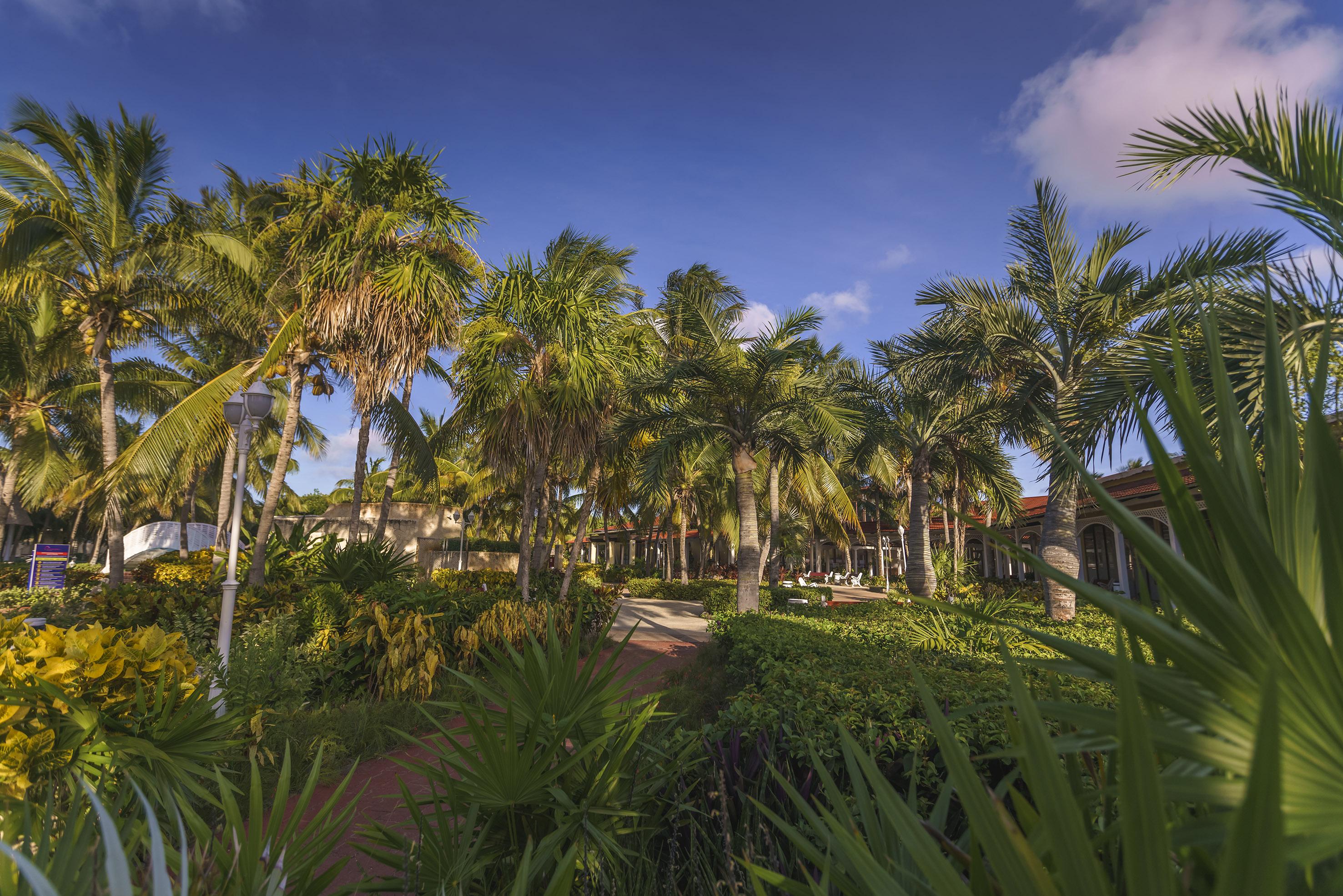 Hotel Sol Cayo Santa María Extérieur photo